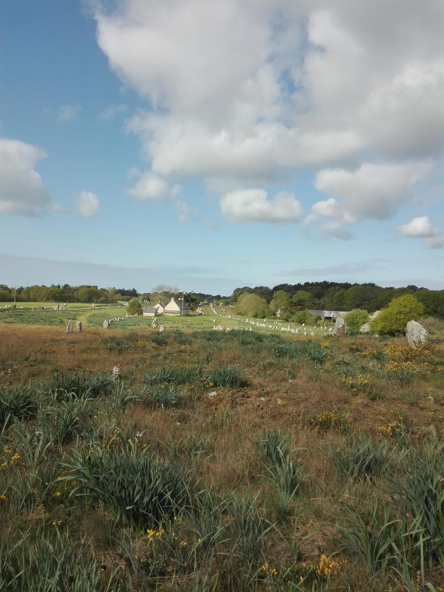 Grand Studio Duplex Avec Jardin La Trinite-sur-Mer Bagian luar foto