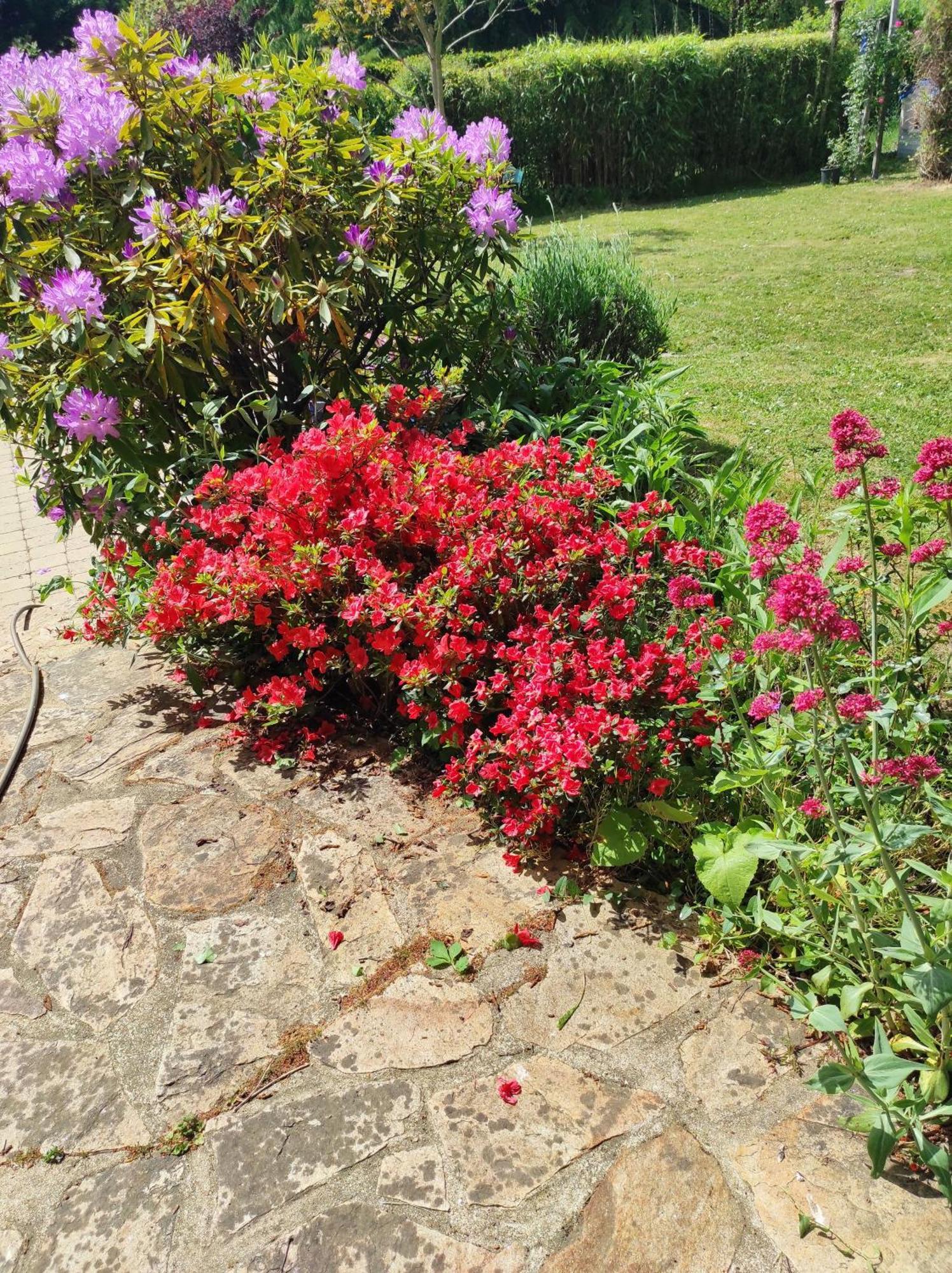 Grand Studio Duplex Avec Jardin La Trinite-sur-Mer Bagian luar foto