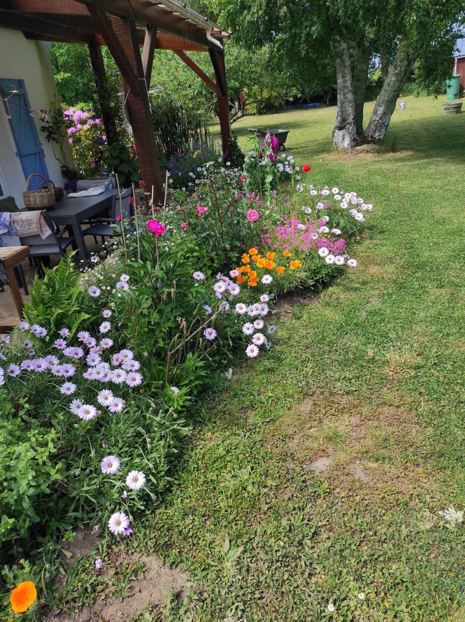 Grand Studio Duplex Avec Jardin La Trinite-sur-Mer Bagian luar foto