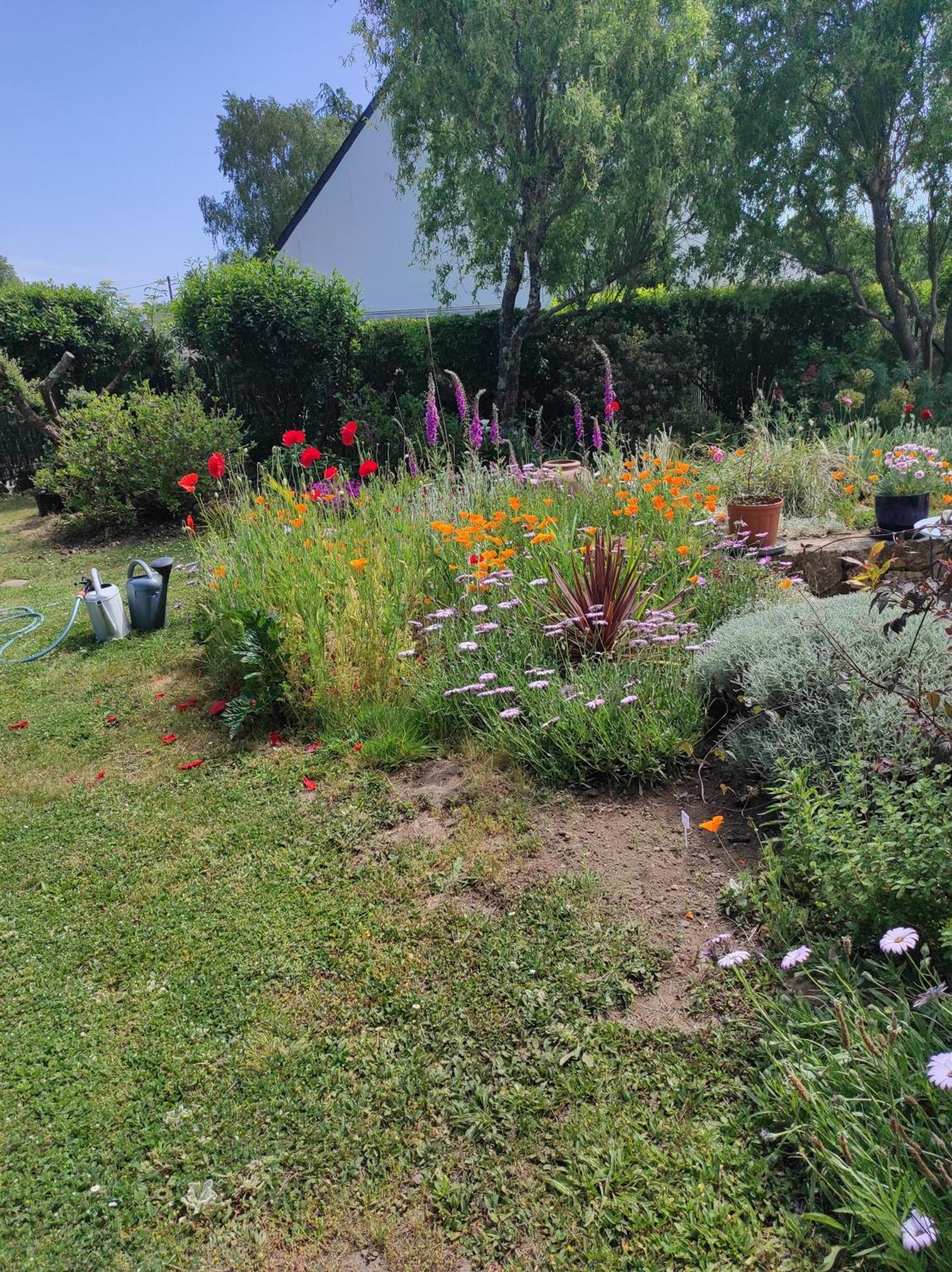 Grand Studio Duplex Avec Jardin La Trinite-sur-Mer Bagian luar foto